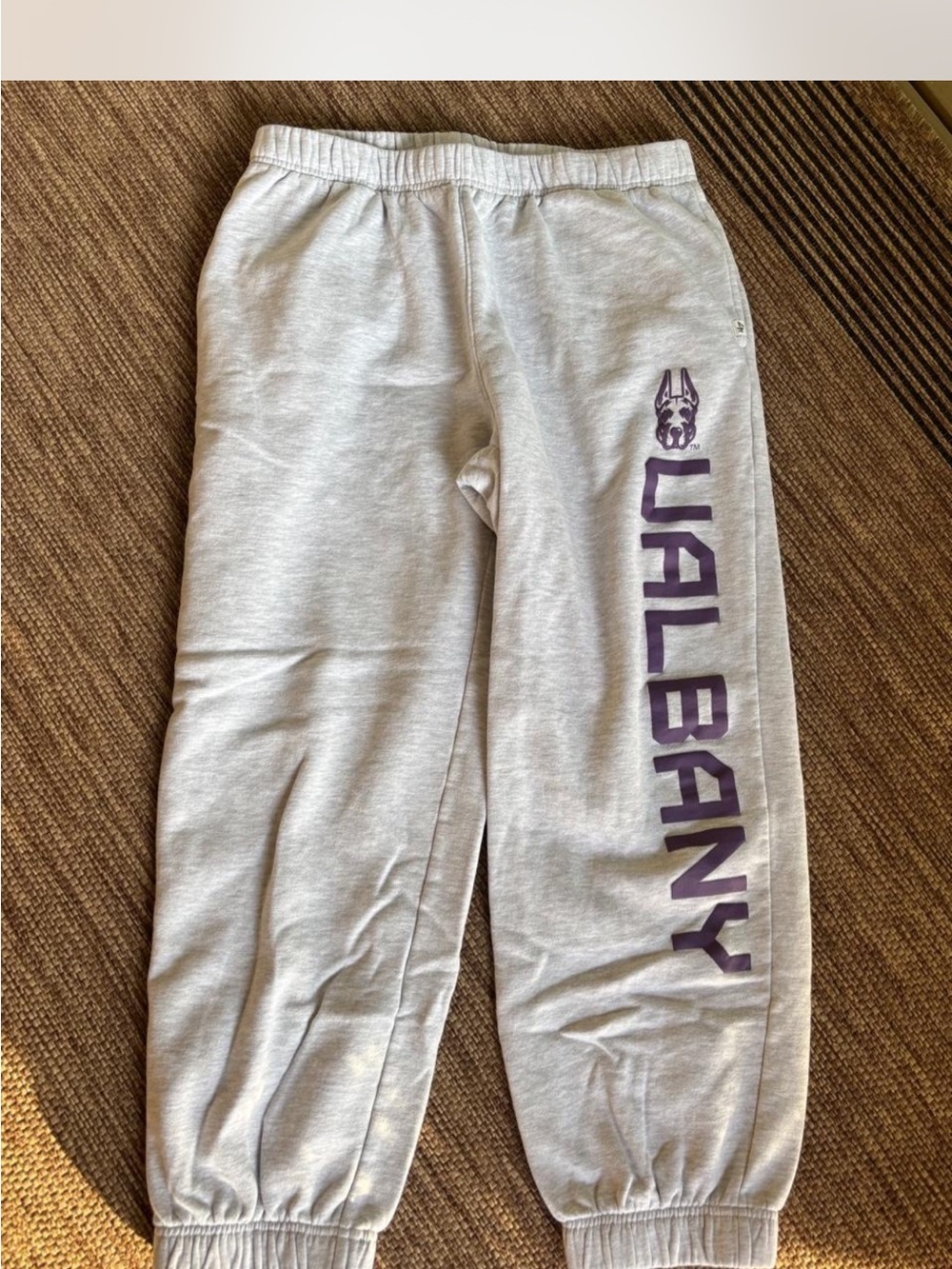 Gray UAlbany Graphic Sweatpants